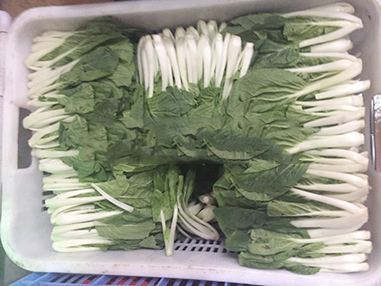 佛山蔬菜配送 佛山蔬菜配送